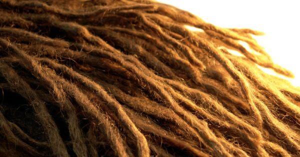 Dreadlock Extensions 